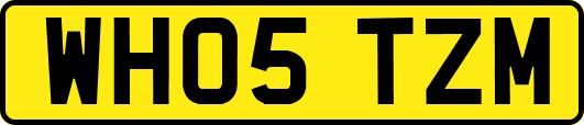 WH05TZM