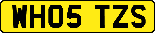 WH05TZS
