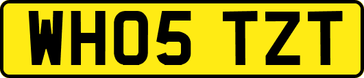 WH05TZT