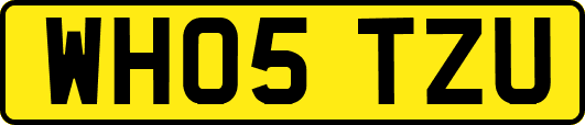 WH05TZU