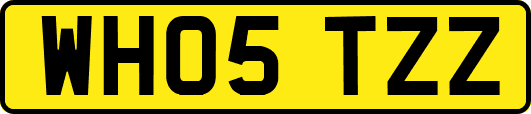 WH05TZZ