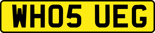 WH05UEG