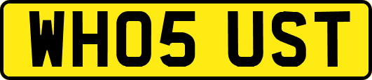 WH05UST