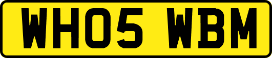 WH05WBM
