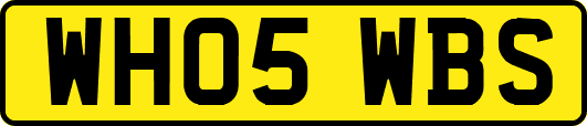 WH05WBS