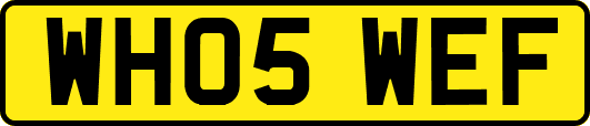 WH05WEF