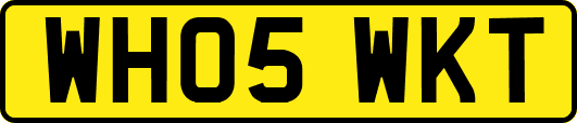 WH05WKT