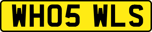 WH05WLS
