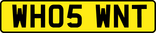 WH05WNT