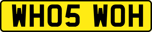 WH05WOH