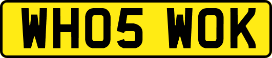 WH05WOK