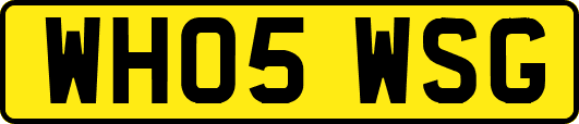 WH05WSG