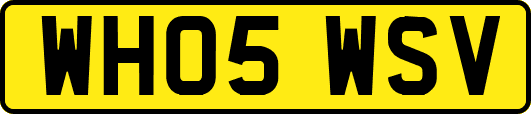 WH05WSV