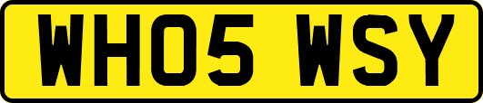 WH05WSY