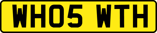 WH05WTH