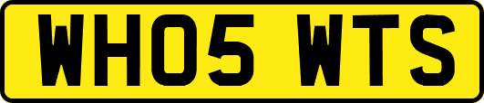 WH05WTS