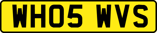 WH05WVS