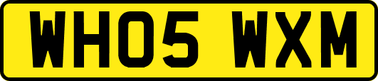WH05WXM