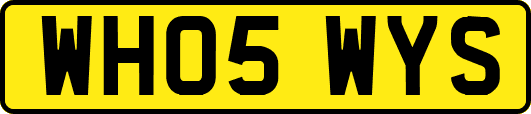 WH05WYS