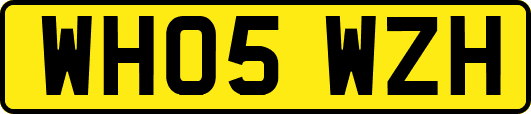 WH05WZH