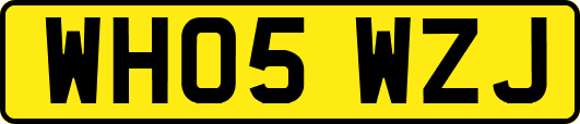WH05WZJ