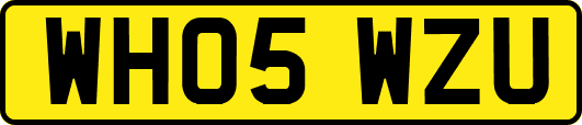 WH05WZU