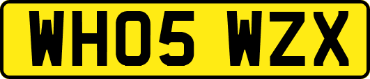 WH05WZX