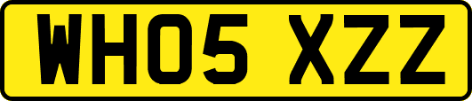 WH05XZZ