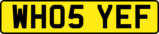 WH05YEF