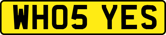 WH05YES