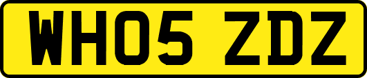 WH05ZDZ