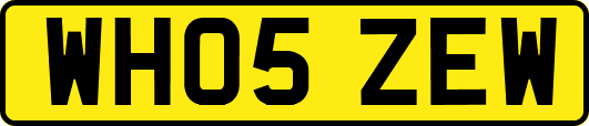 WH05ZEW
