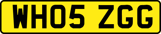 WH05ZGG