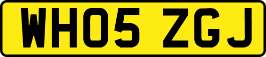 WH05ZGJ