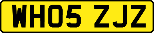 WH05ZJZ