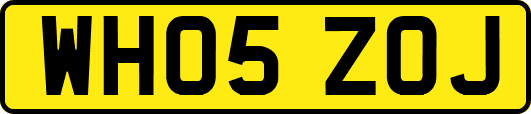 WH05ZOJ