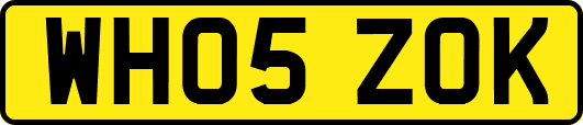 WH05ZOK