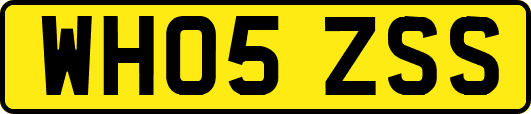 WH05ZSS