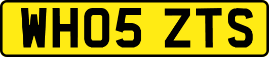 WH05ZTS