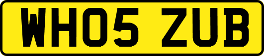 WH05ZUB