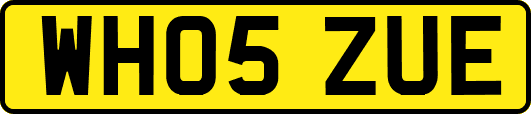 WH05ZUE