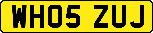 WH05ZUJ