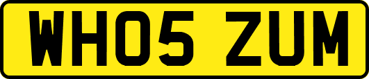 WH05ZUM