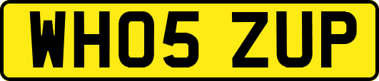 WH05ZUP