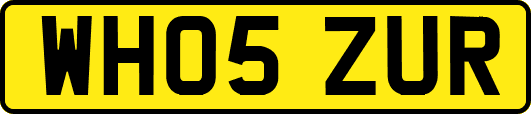 WH05ZUR