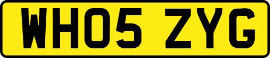 WH05ZYG