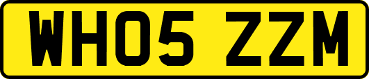 WH05ZZM