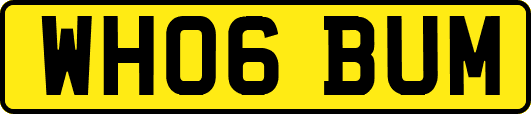 WH06BUM