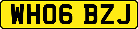 WH06BZJ