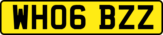 WH06BZZ